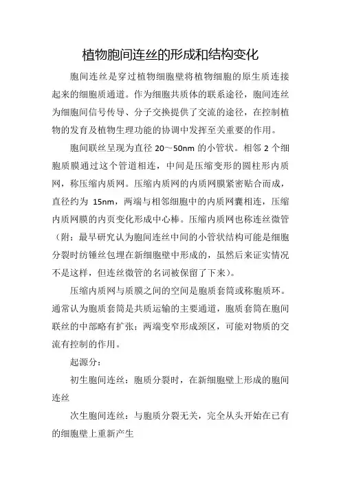 植物胞间连丝的形成和结构变化