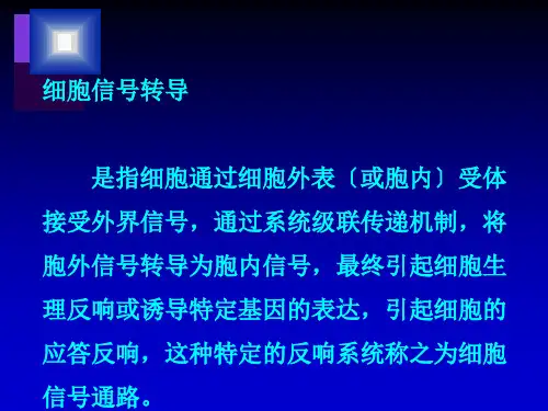 信号转导与肿瘤PPT课件