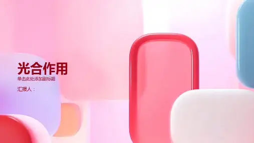 光合作用(一)—光合色素的提取、分离及作用