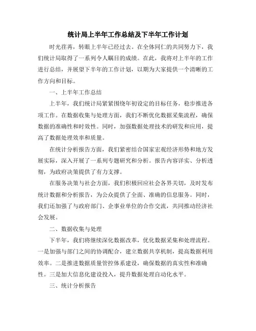 统计局上半年工作总结及下半年工作计划