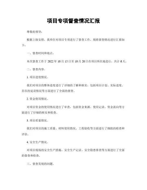 项目专项督查情况汇报
