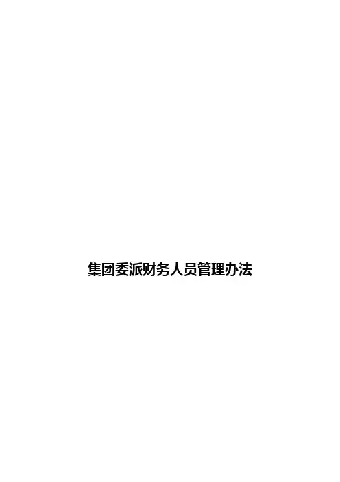 集团委派财务人员管理办法