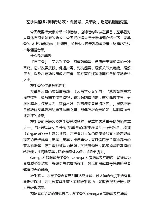 左手香的8种神奇功效：治肠胃、关节炎，还是乳腺癌克星