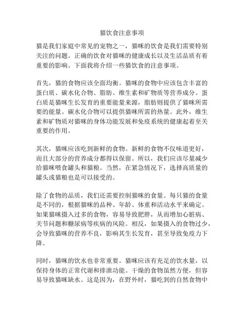 猫饮食注意事项
