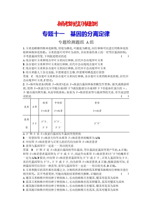 新高考生物总复习专题检测11  基因的分离定律
