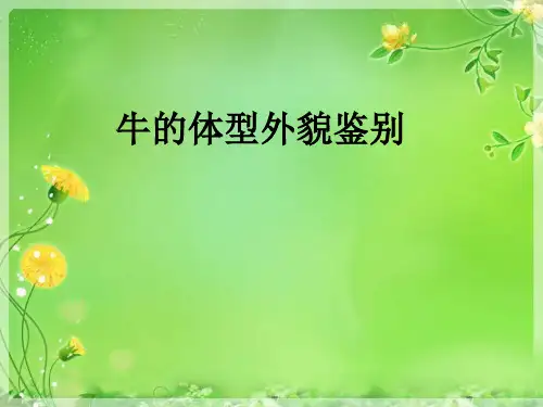 牛的体型外貌及其鉴别精品PPT课件
