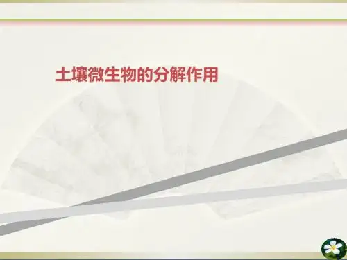 土壤微生物的分解作用