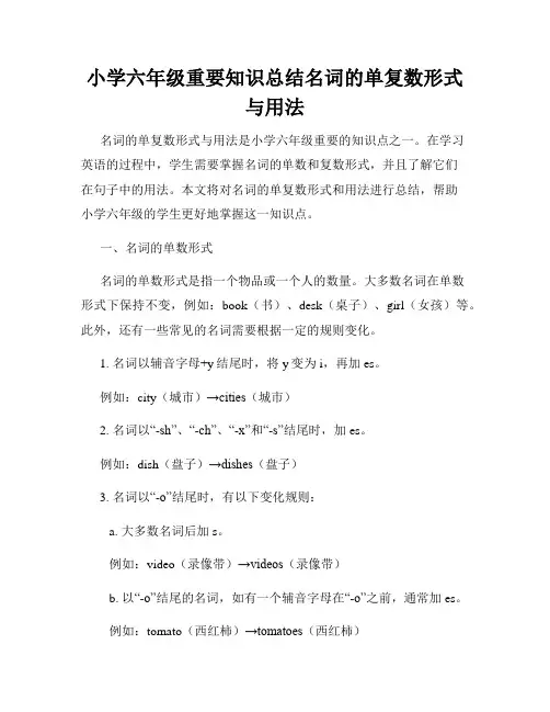 小学六年级重要知识总结名词的单复数形式与用法