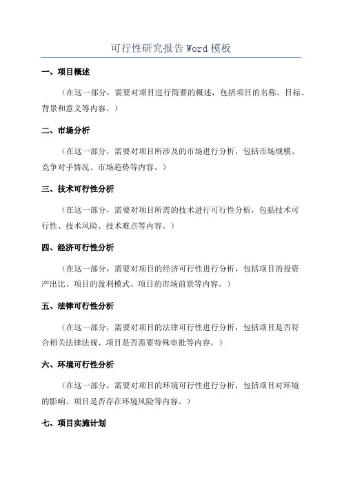 可行性研究报告Word模板