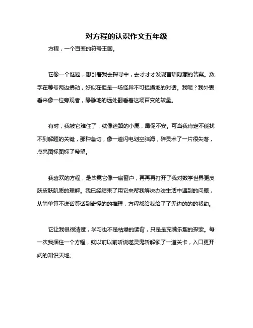 对方程的认识作文五年级