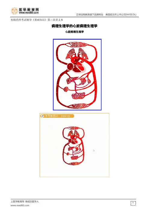 心脏病理生理学--初级药师考试辅导《基础知识》第三章讲义5