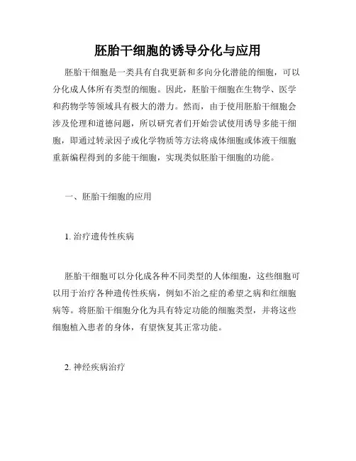 胚胎干细胞的诱导分化与应用
