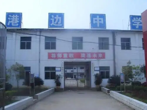 研究性学习-自制酸碱指示剂