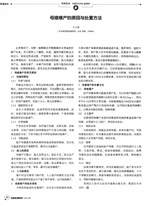 母猪难产的原因与处置方法