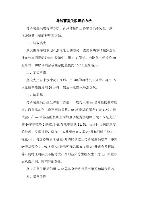 马铃薯茎尖脱毒的方法