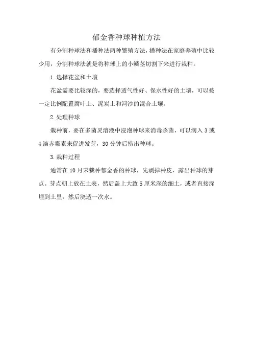 郁金香种球种植方法
