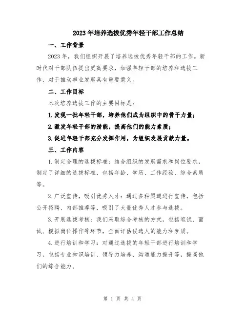 2023年培养选拔优秀年轻干部工作总结