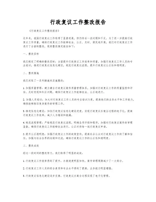 行政复议工作整改报告