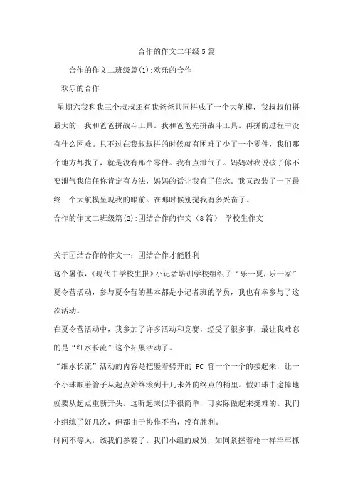 合作的作文二年级5篇