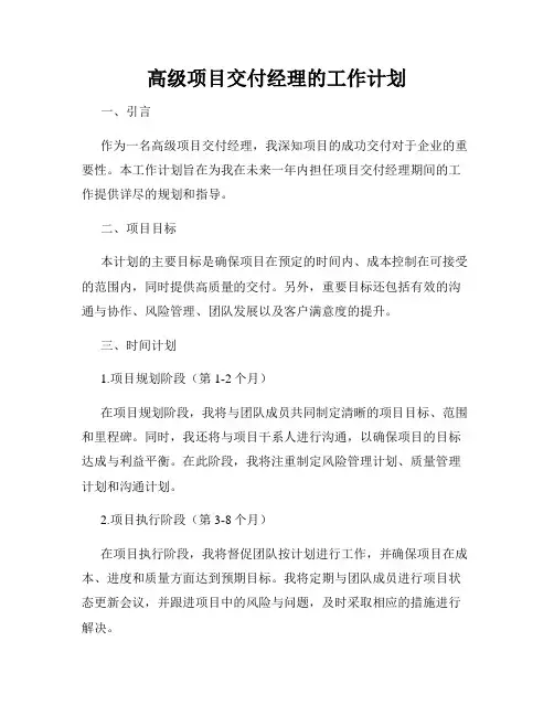 高级项目交付经理的工作计划