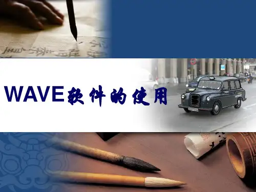 wave软件的使用
