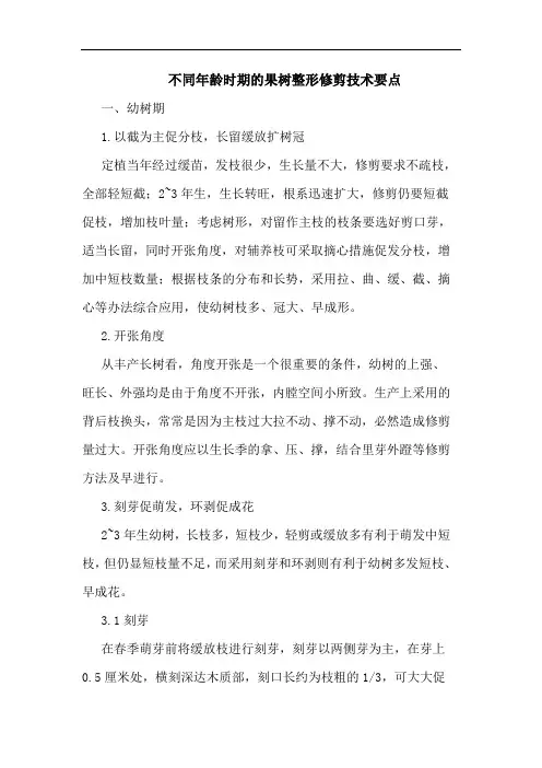 不同年龄时期的果树整形修剪技术要点