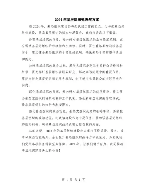 2024年基层组织建设年方案