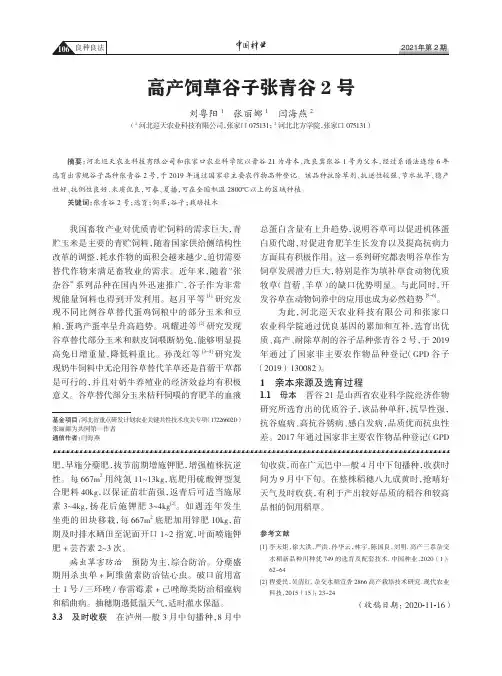 高产饲草谷子张青谷2号