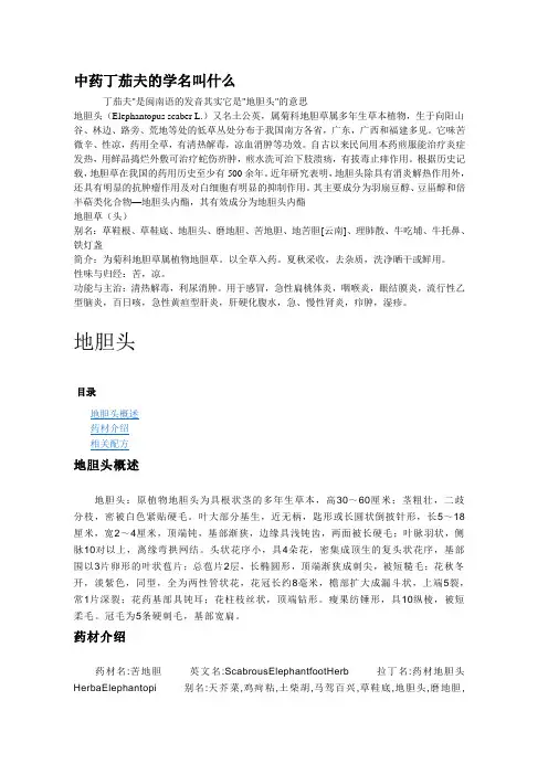 中草药丁茄夫(图文)