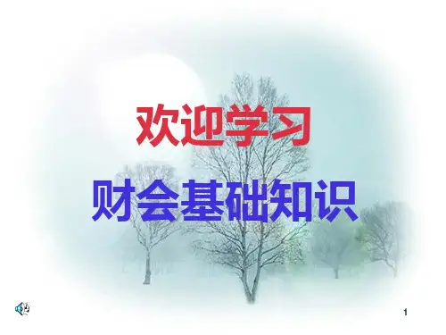 财务会计基础知识综述