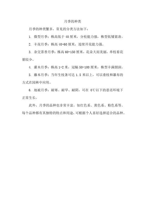 月季的种类