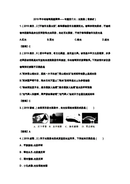 2019年中考物理真题集锦专题46：光现象(含解析)