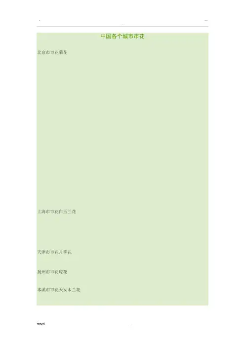 中国各个城市市花