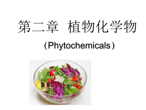 营养学之植物化学物  ppt课件