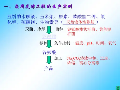 发酵工程简介PPT课件
