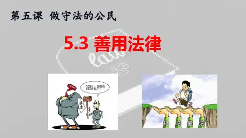5-3 善用法律 课件-部编版道德与法治八年级上册
