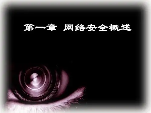 网络安全概述