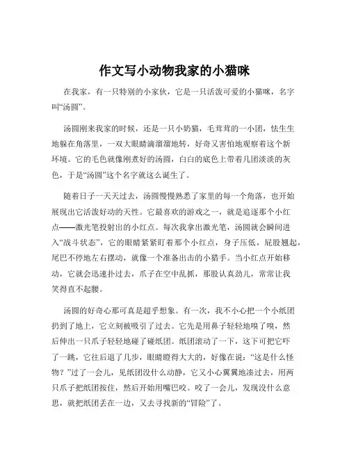 作文写小动物我家的小猫咪