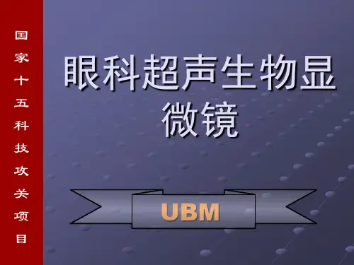 ubm讲稿