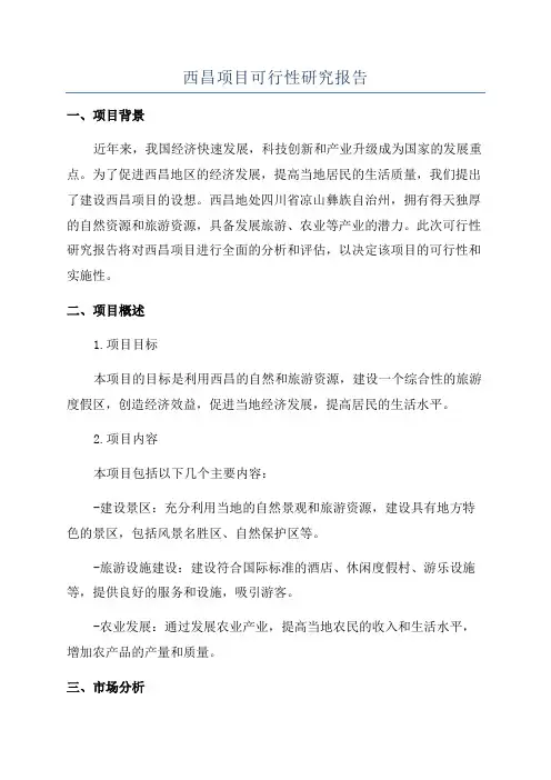 西昌项目可行性研究报告
