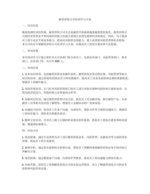 融资担保公司培训学习计划