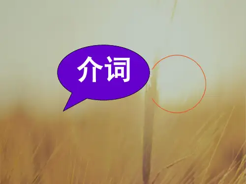 名师小课堂2018届高三英语一轮复习课件：语法 介词