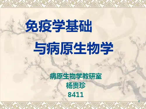 免疫学-课程中心-上海中医药大学PPT课件