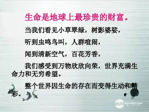 小学三年级交通安全教育《珍爱生命_健康成长》主题班会PPT课件