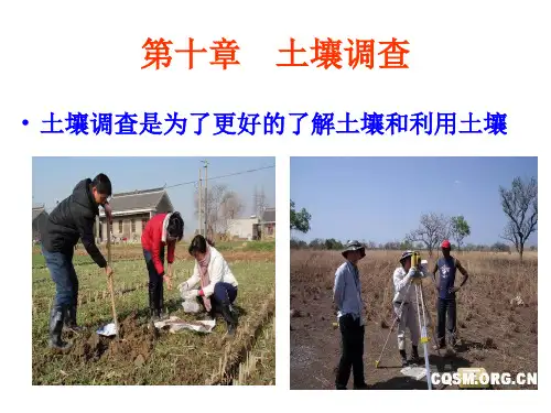 《土壤学》第十章土壤调查