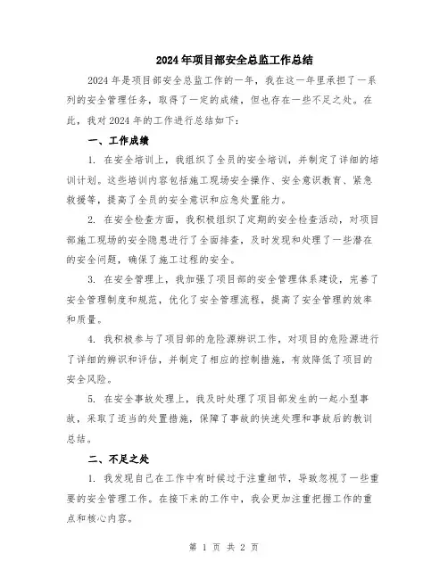2024年项目部安全总监工作总结
