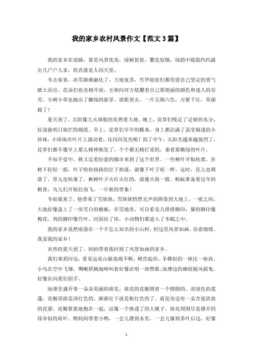 精选我的家乡农村风景作文【范文3篇】