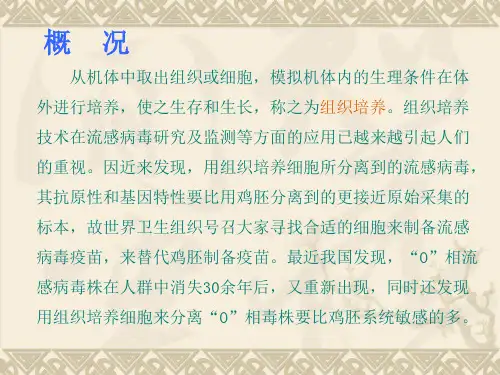 细胞组织培养技术PPT幻灯片