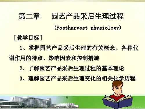 园艺产品采后生理过程