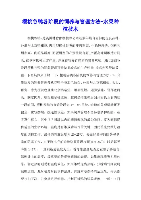 樱桃谷鸭各阶段的饲养与管理方法 - 水果种植技术